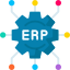 ERP Deployment